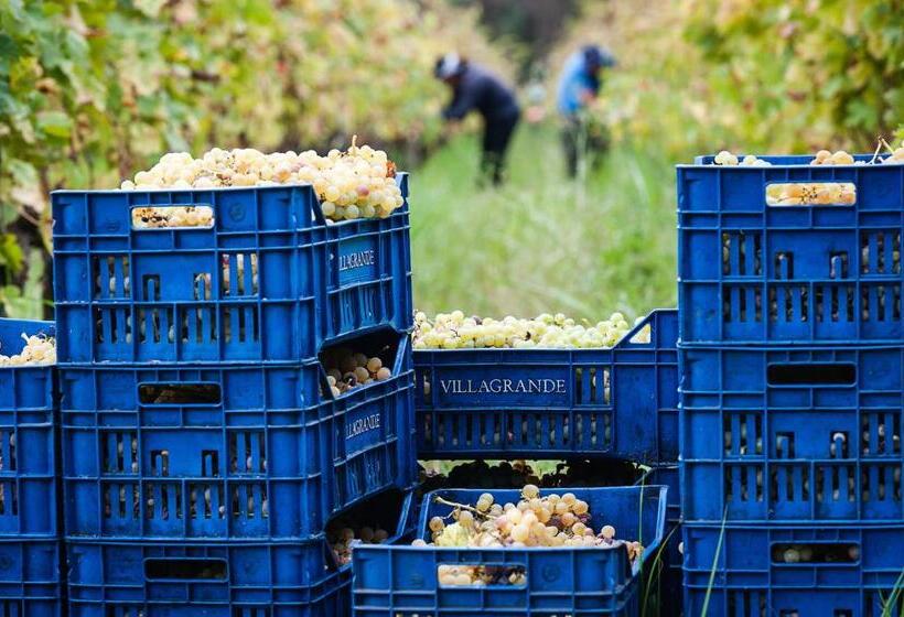 هتل Wine Resort Villagrande