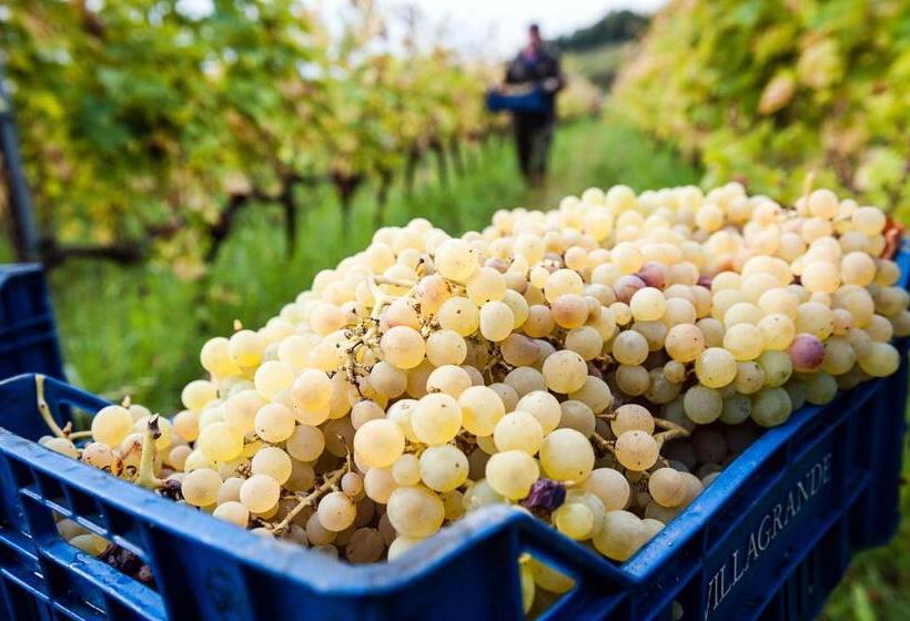 هتل Wine Resort Villagrande