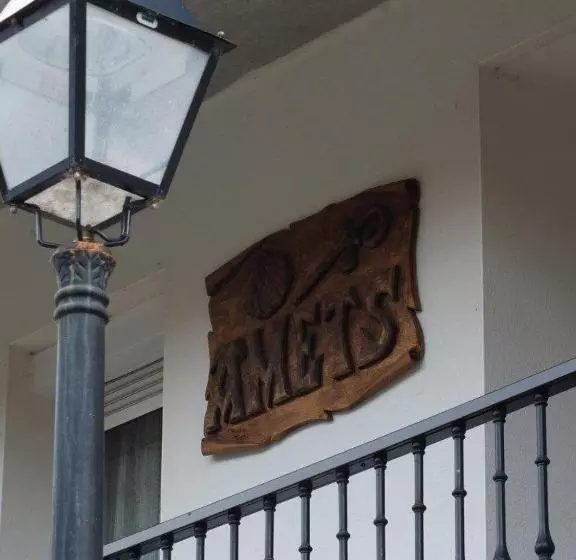 Pensión Amets