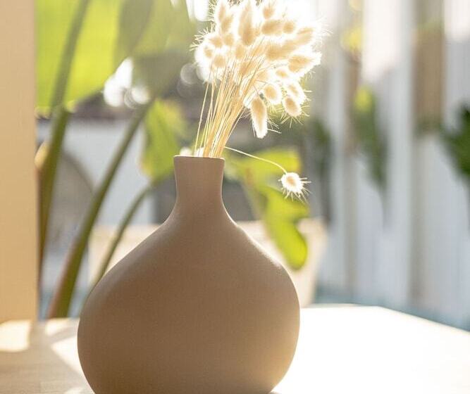 住宿加早餐 Voger Alacatı Koyici