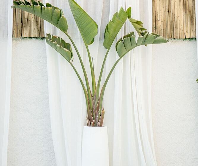 住宿加早餐 Voger Alacatı Koyici