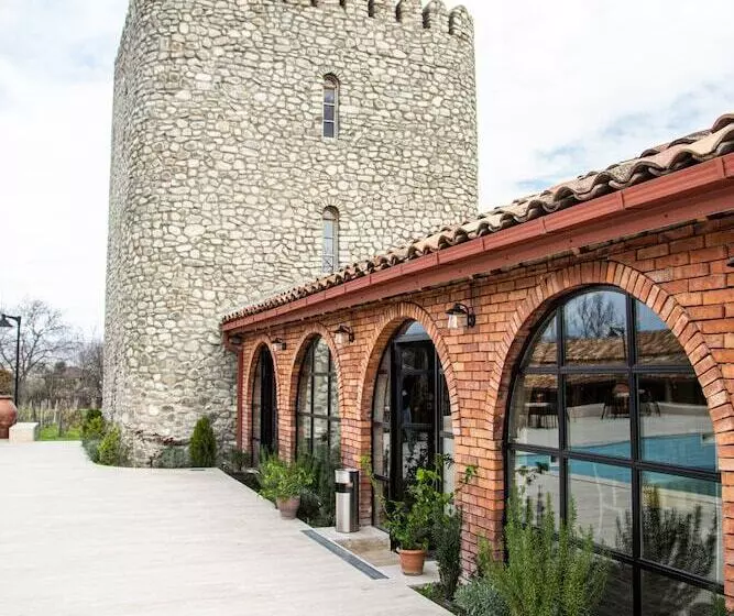 هتل Giorgi Ushikishvili Chateau Celler