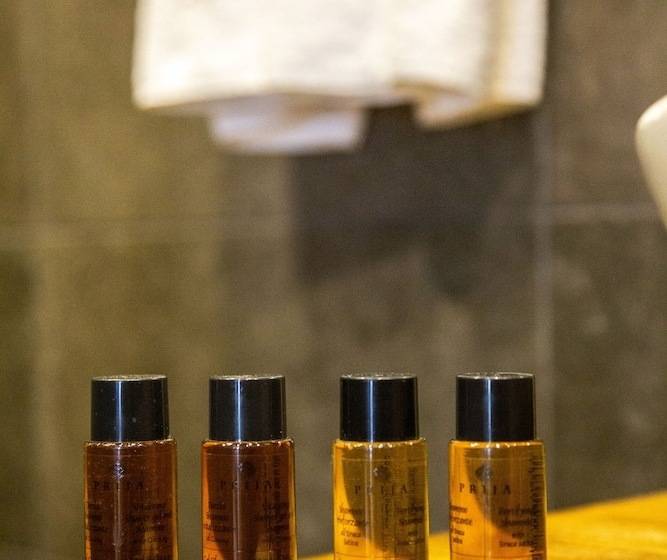 هتل Giorgi Ushikishvili Chateau Celler