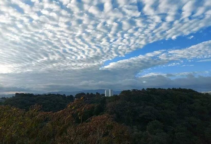 پانسیون Aurora Express