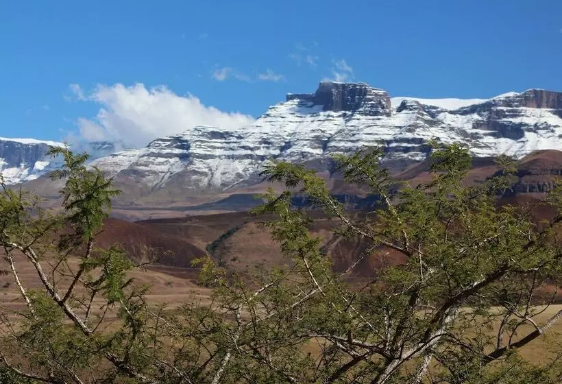 ホテル Treks Trips And Trails