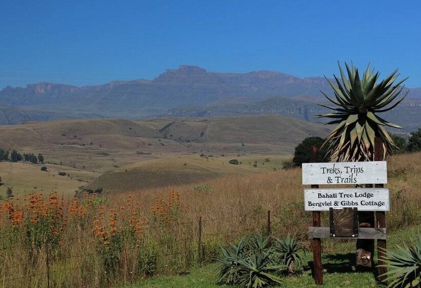 Hotel Treks Trips And Trails