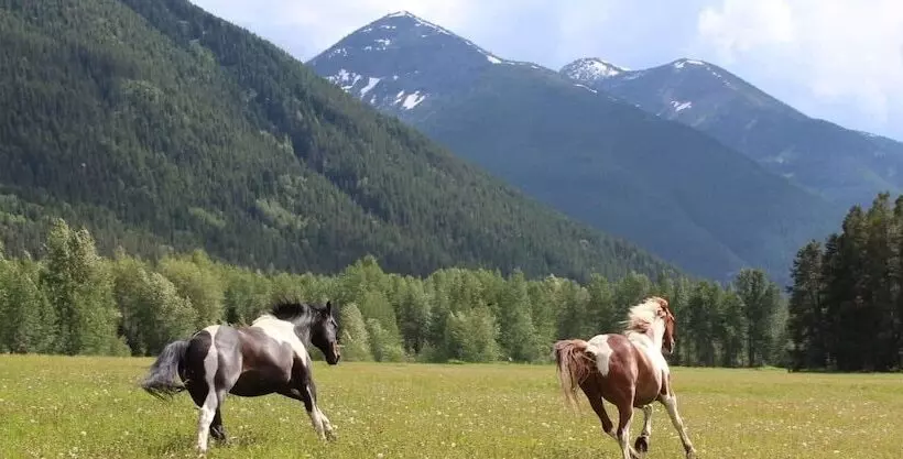 Aamiaismajoitus (B&B) Bear Creek Guest Ranch