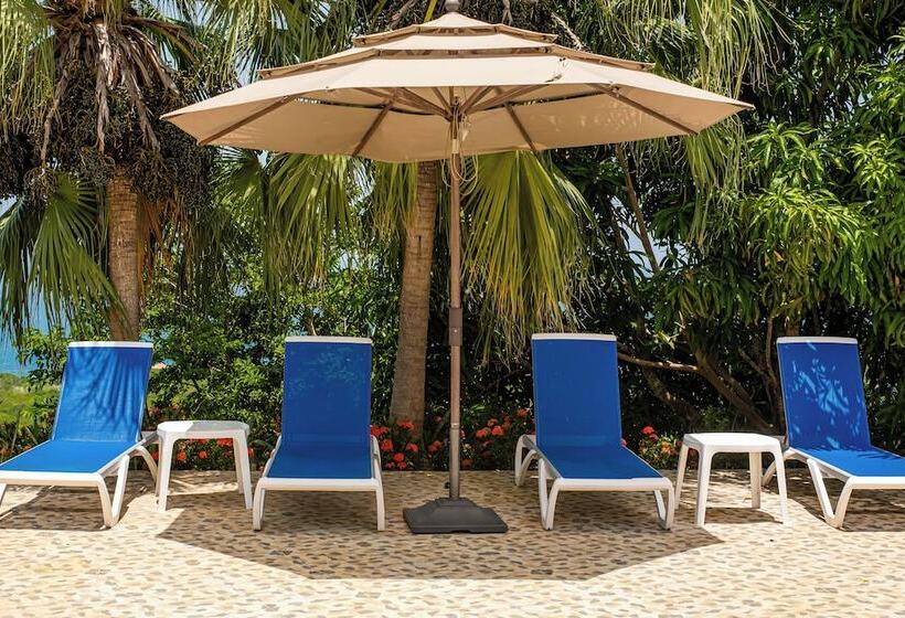 تختخواب و صبحانه High Life Resort And Spa