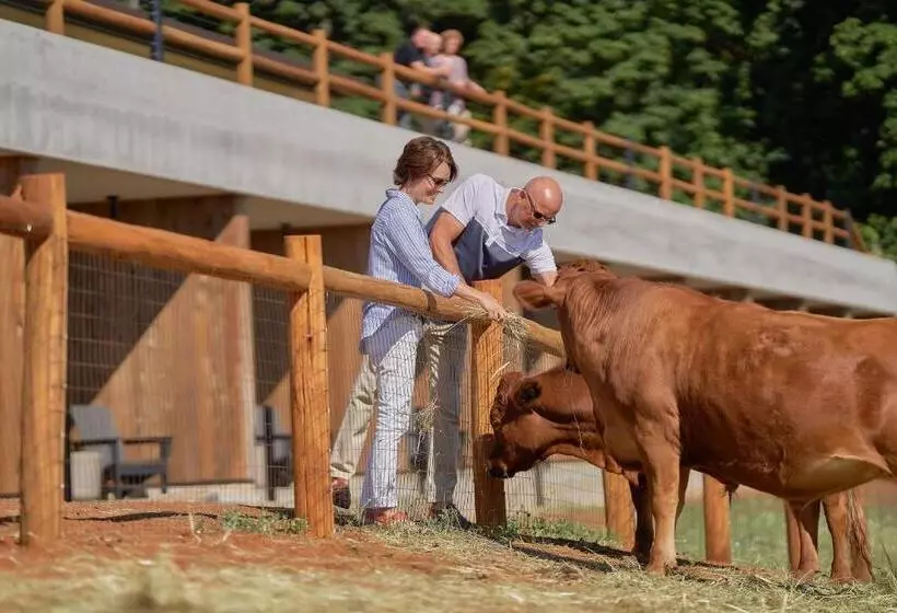 Aamiaismajoitus (B&B) Inn The Ground