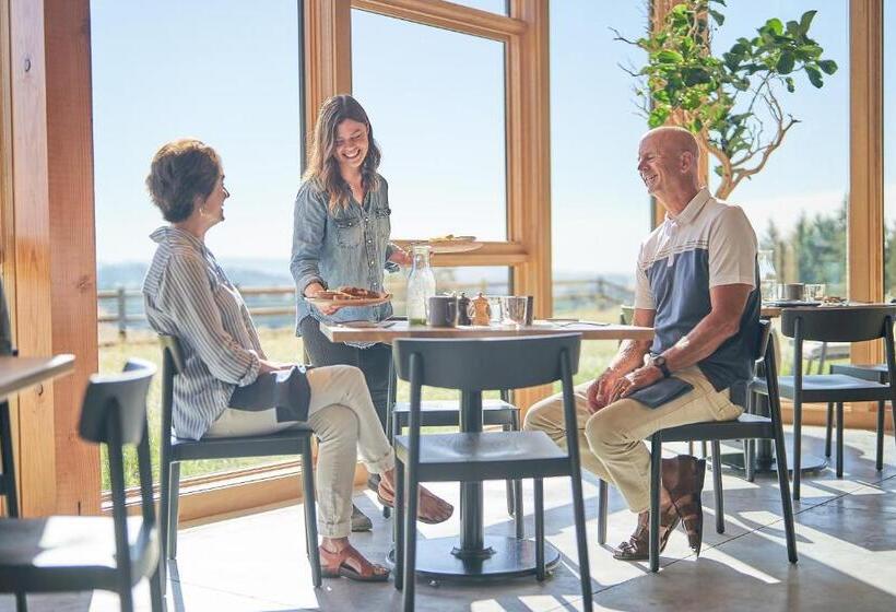 Bed and Breakfast Inn The Ground