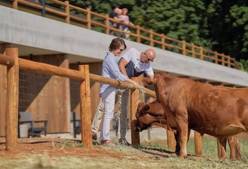 Aamiaismajoitus (B&B) Inn The Ground