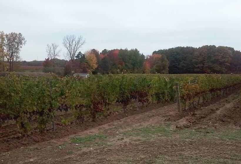 مبيت وإفطار The Inn At Woodsong Acres