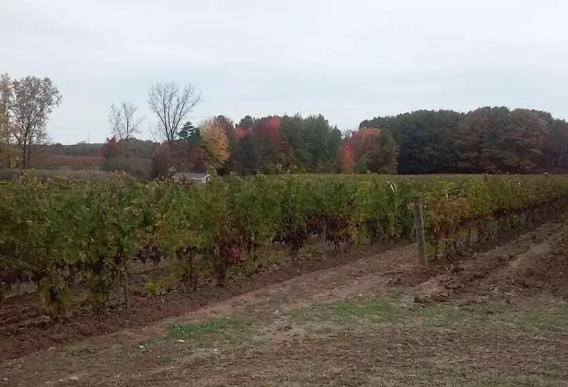 Aamiaismajoitus (B&B) The Inn At Woodsong Acres