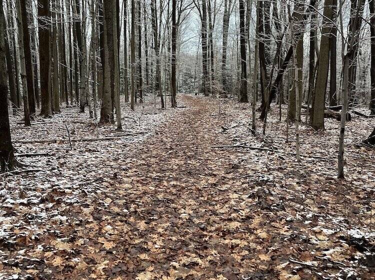 مبيت وإفطار The Inn At Woodsong Acres