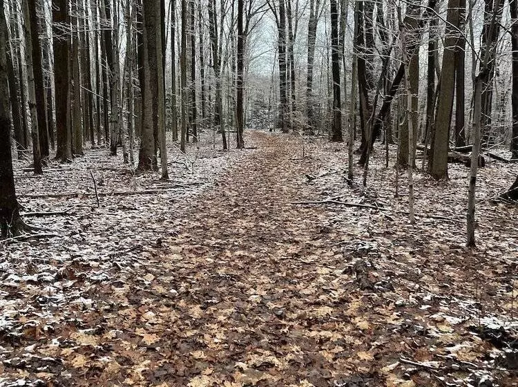 Aamiaismajoitus (B&B) The Inn At Woodsong Acres