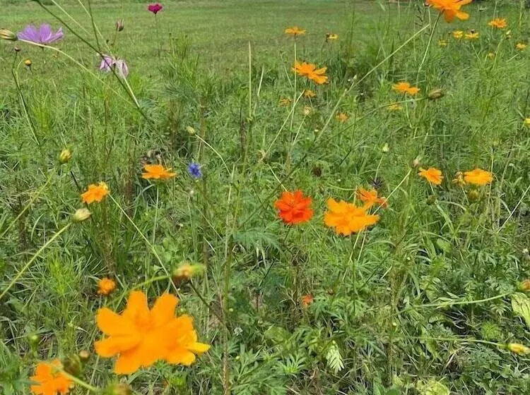 Aamiaismajoitus (B&B) The Inn At Woodsong Acres