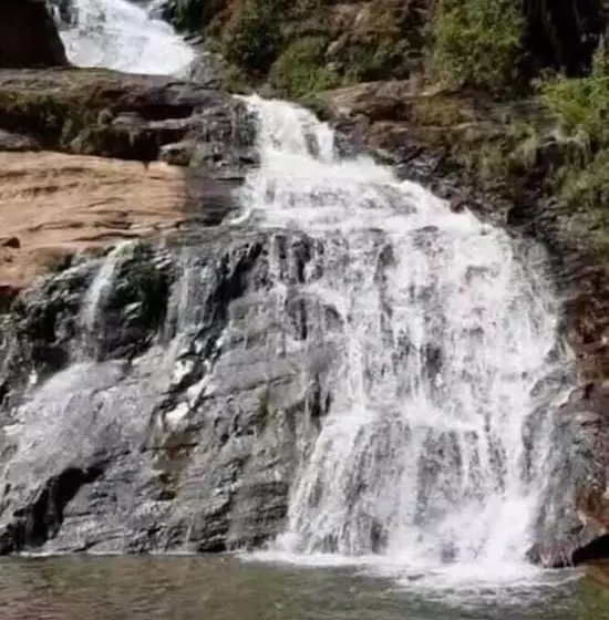 簡易ホテル Pousada Sitio Das Flores