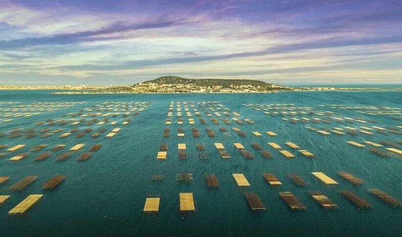 בית מלון כפרי Village Thalassa Gîte En Rez De Jardin