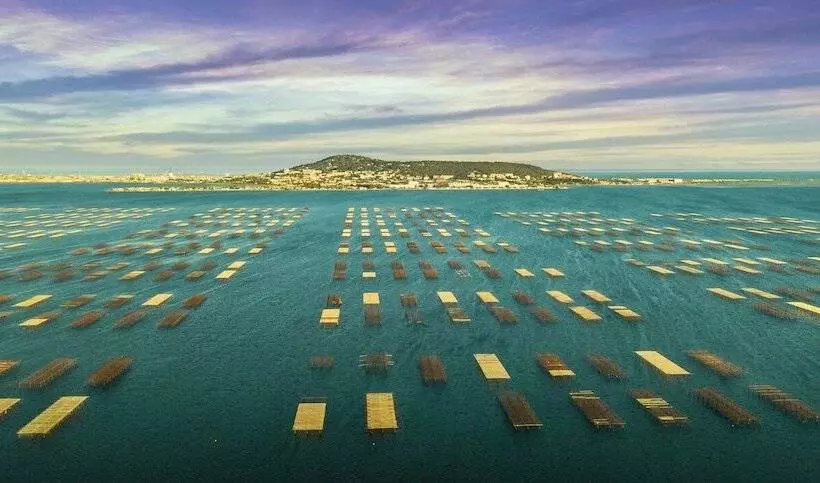 Hotelli Village Thalassa   Gîte En Rez De Jardin