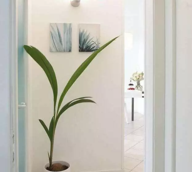 Luxury Suites Collection Viale Milano 3