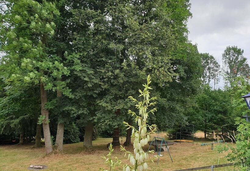 ペンション Kottmarschenke Gästezimmer Und Ferienwohnung Am Kottmar