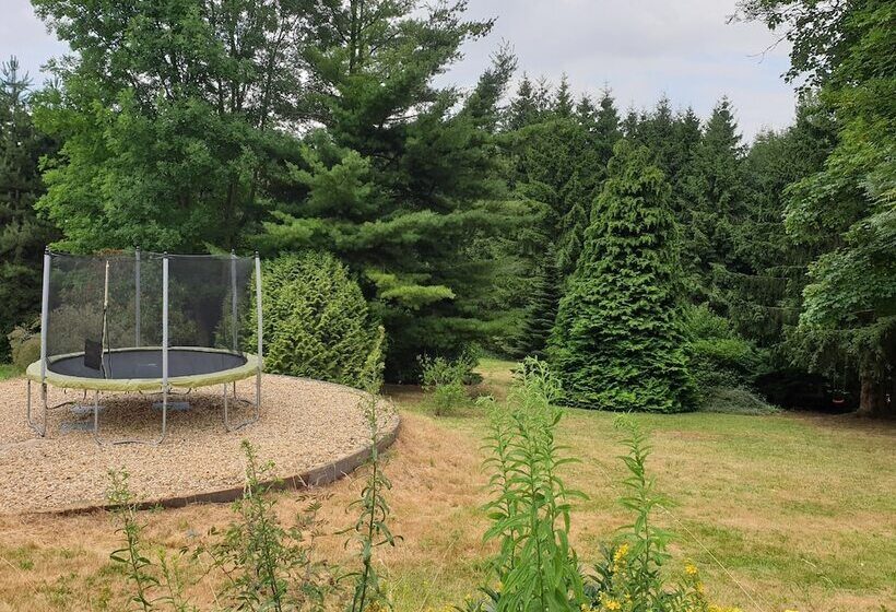 ペンション Kottmarschenke Gästezimmer Und Ferienwohnung Am Kottmar