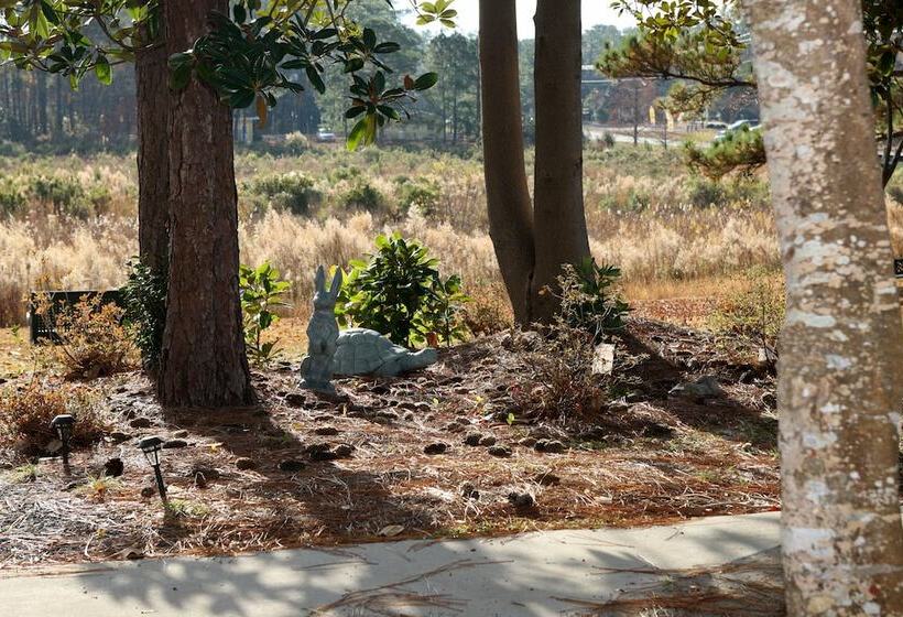 Boiling Spring Lakes Motel