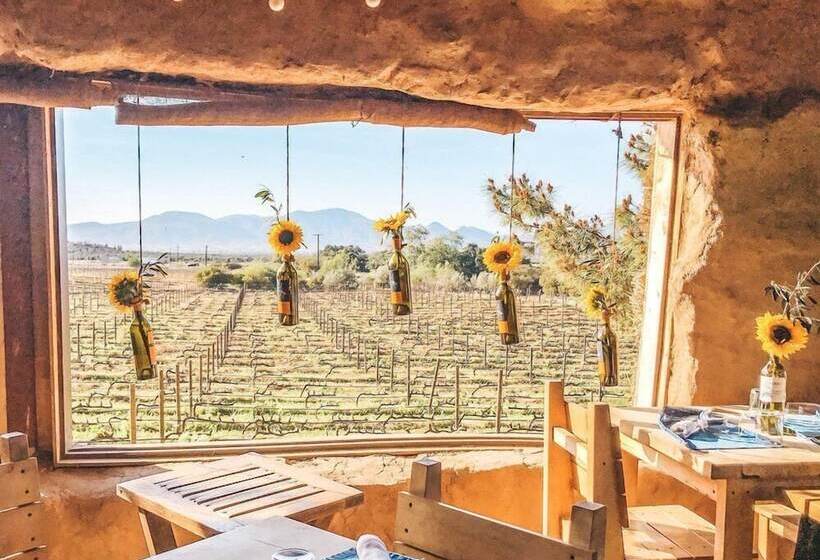 Ecovino Valle De Guadalupe