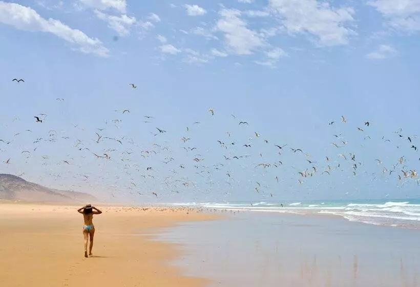 Hostelli La Fiermontina Ocean