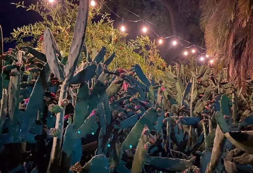 簡易ホテル Posada Colibrí