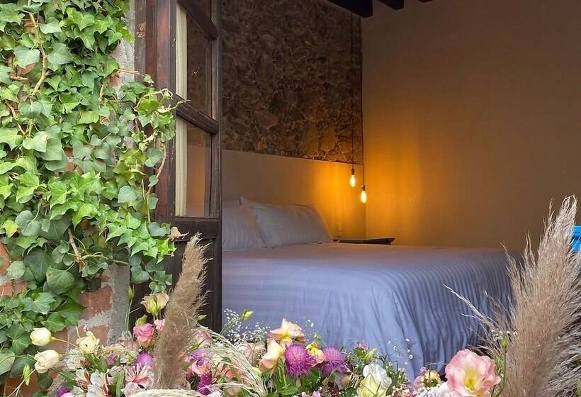 客栈 Posada Colibrí