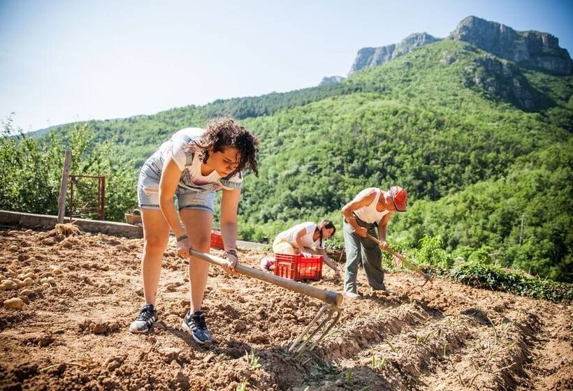 בית מלון כפרי Da Gin