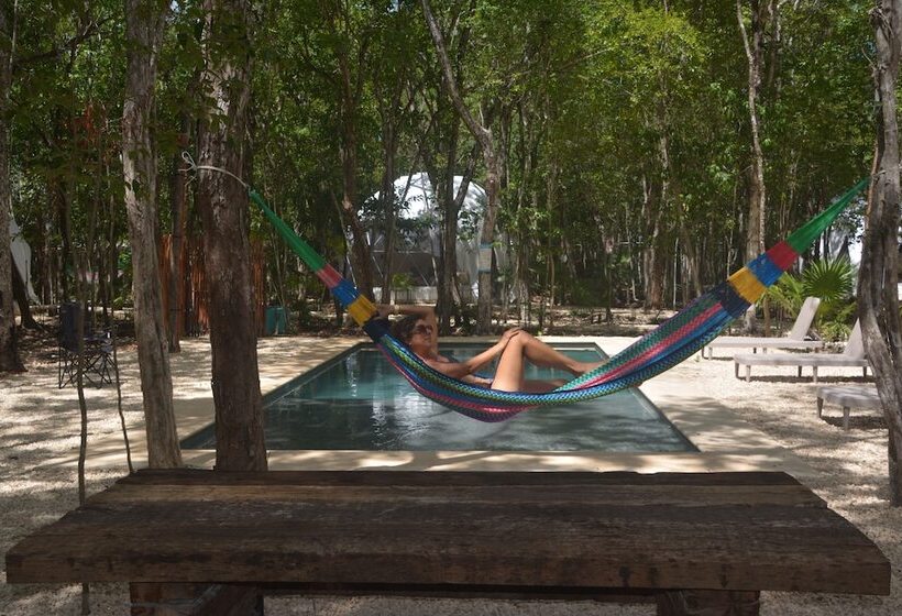 Hotel Glamping Mayan Glam