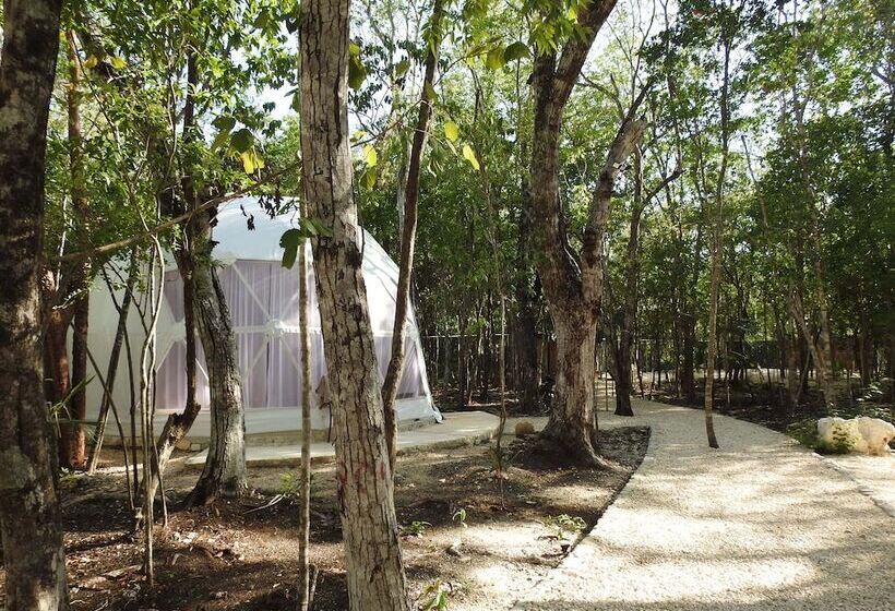 Hotel Glamping Mayan Glam