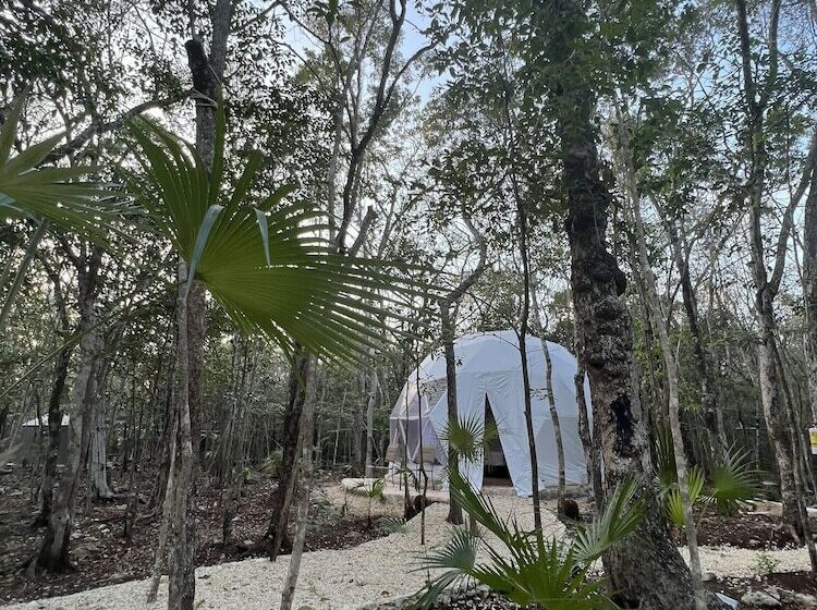 Hotel Glamping Mayan Glam