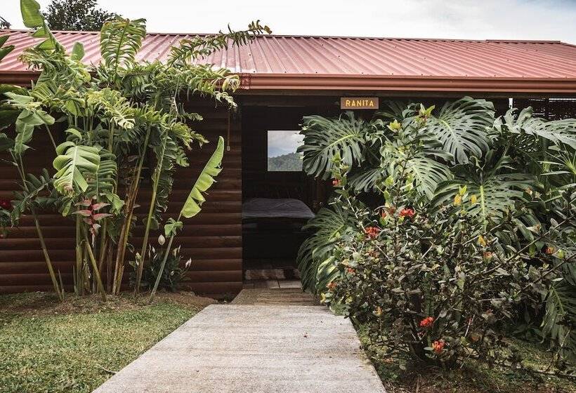 Отель Pacuare Mountain Lodge