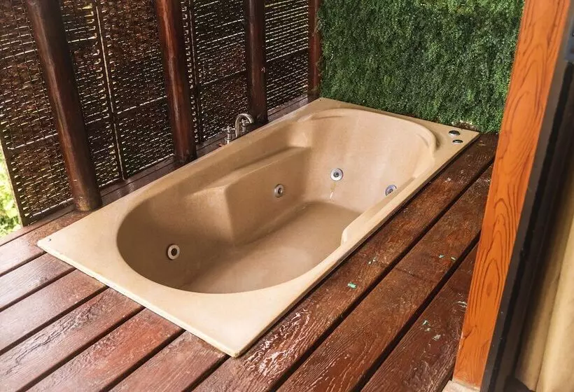 Hotelli Pacuare Mountain Lodge