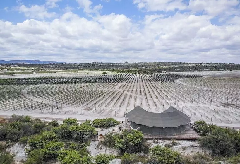 Hotelli Viatura Omún, San Miguel De Allende, With Optional All Inclusive