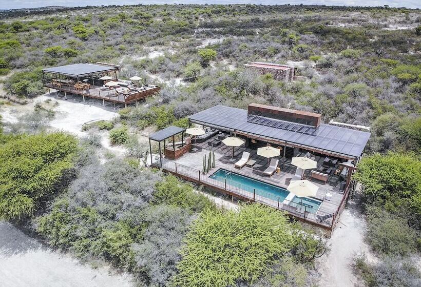 ホテル Viatura Omún, San Miguel De Allende, With Optional All Inclusive