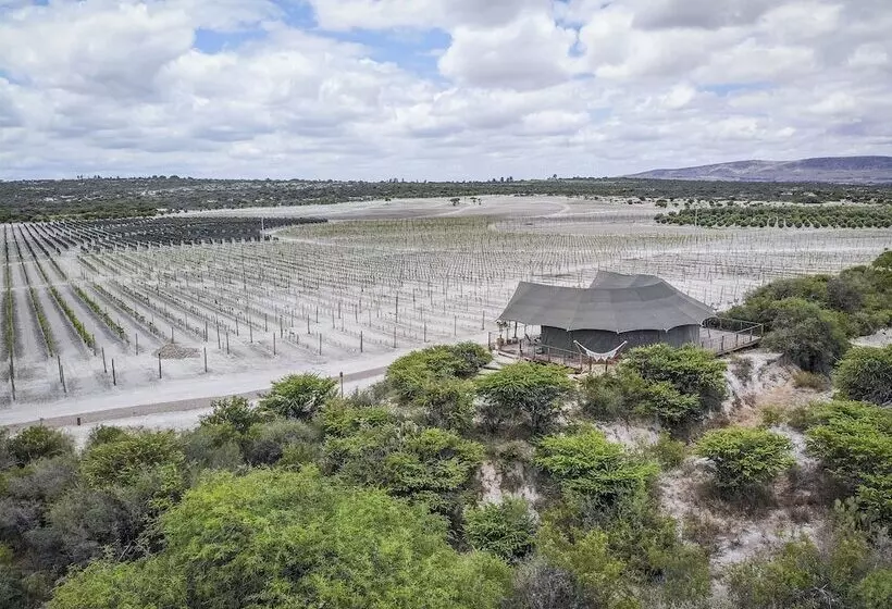 Hotelli Viatura Omún, San Miguel De Allende, With Optional All Inclusive