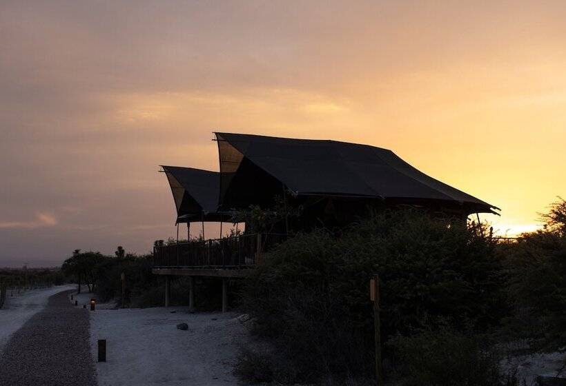 ホテル Viatura Omún, San Miguel De Allende, With Optional All Inclusive