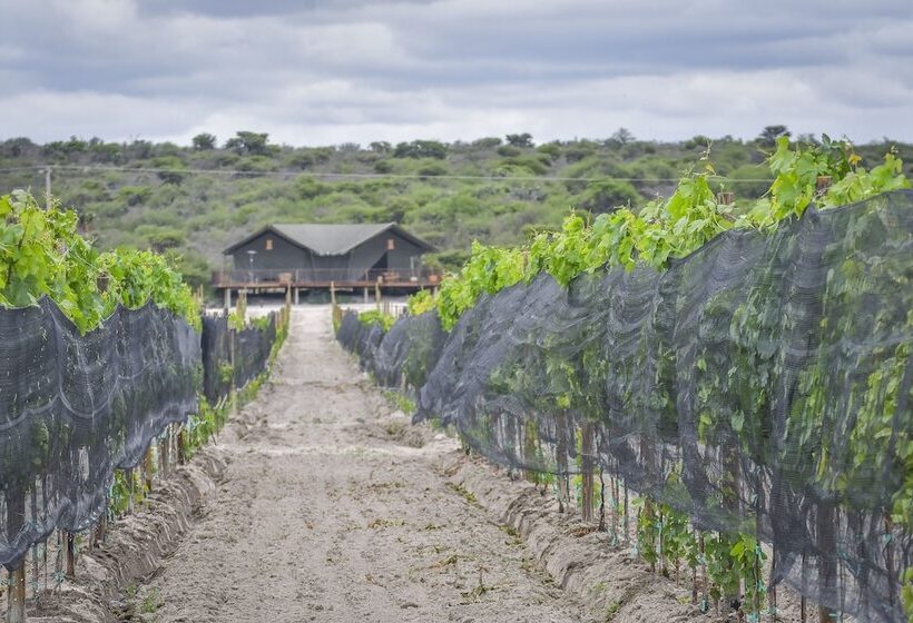 ホテル Viatura Omún, San Miguel De Allende, With Optional All Inclusive