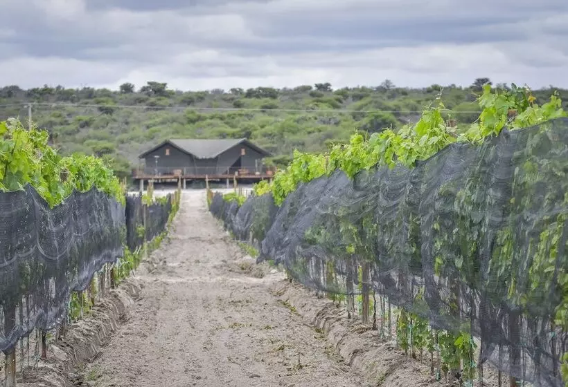 Hotelli Viatura Omún, San Miguel De Allende, With Optional All Inclusive