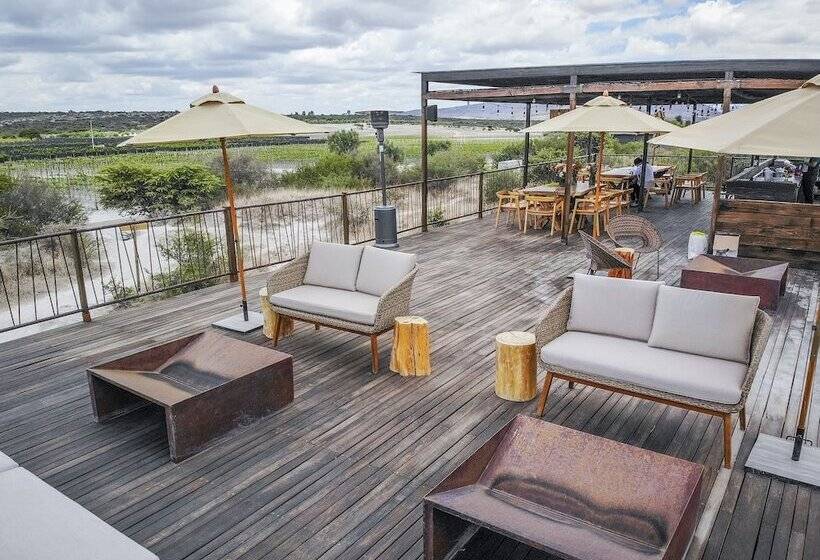 ホテル Viatura Omún, San Miguel De Allende, With Optional All Inclusive