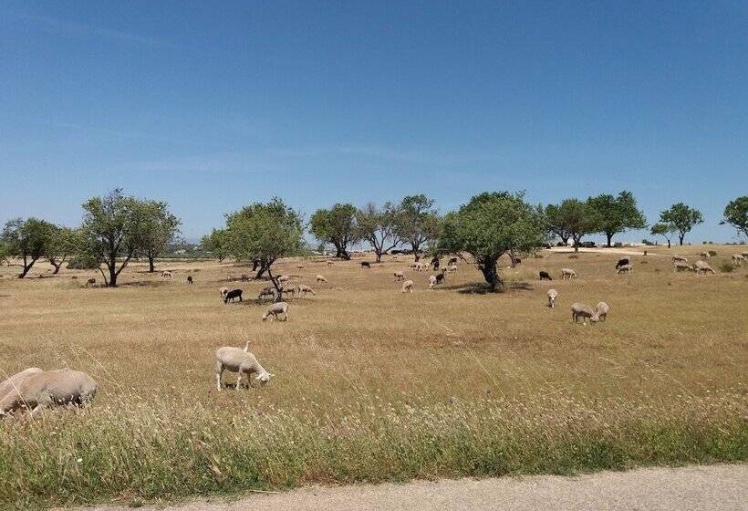פנסיון Villa Paradis