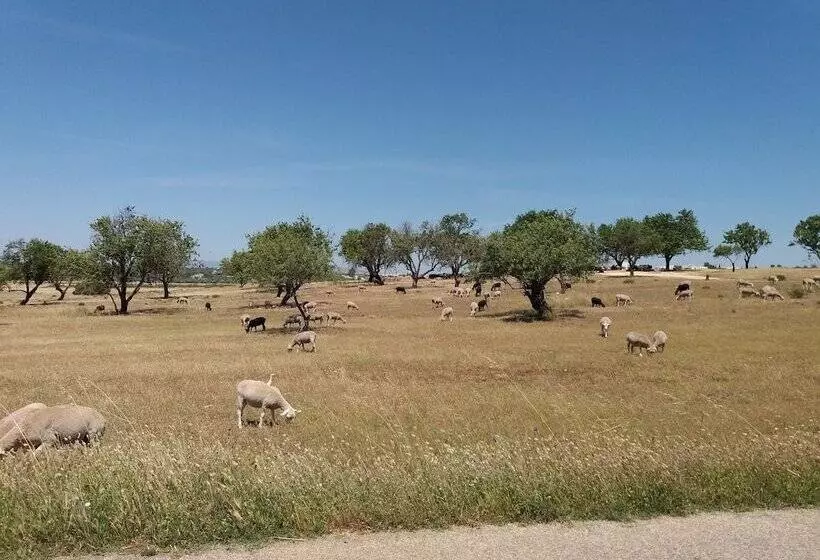 ペンション Villa Paradis