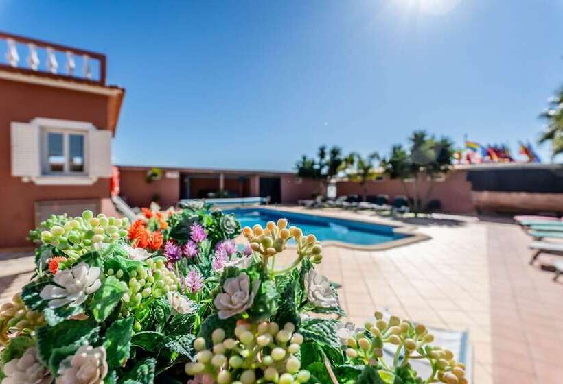 פנסיון Villa Paradis