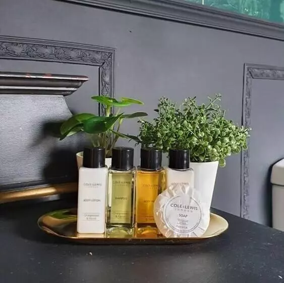 Residenssi Luxury Designer 4 Bed Home In The Heart Of Belfast