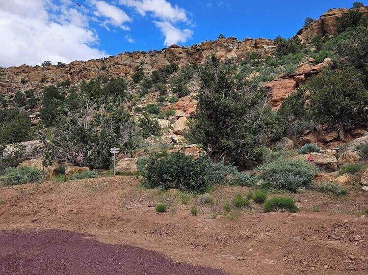 The Peacemaker Cabin