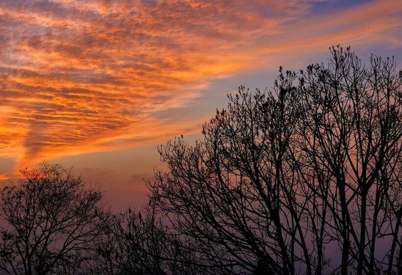 The Terraces Resort And Spa